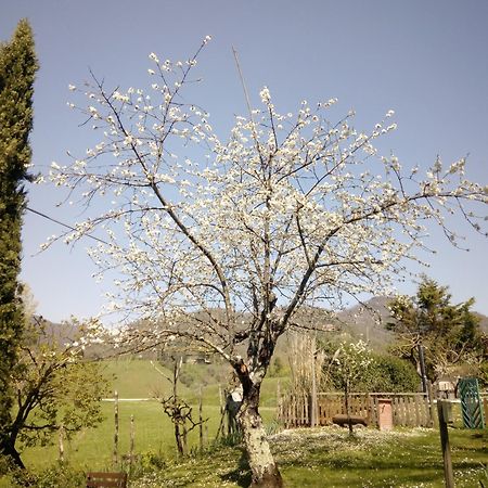 B&B Le Due Volpi Vicchio Εξωτερικό φωτογραφία