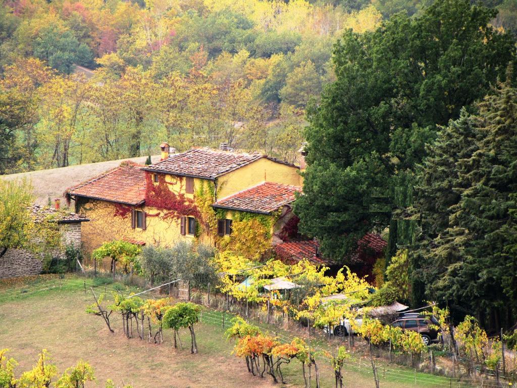 B&B Le Due Volpi Vicchio Εξωτερικό φωτογραφία