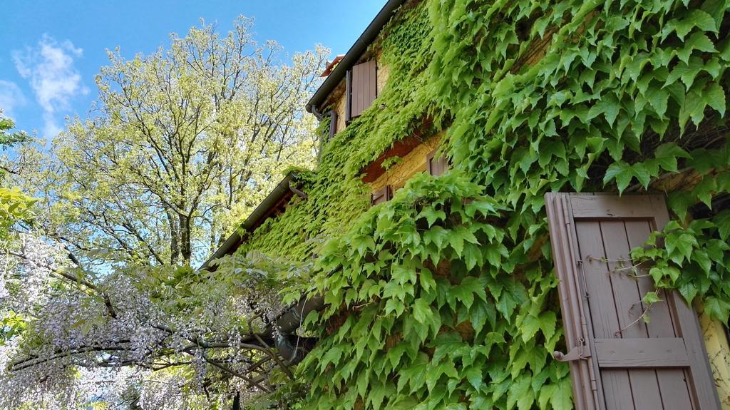 B&B Le Due Volpi Vicchio Εξωτερικό φωτογραφία