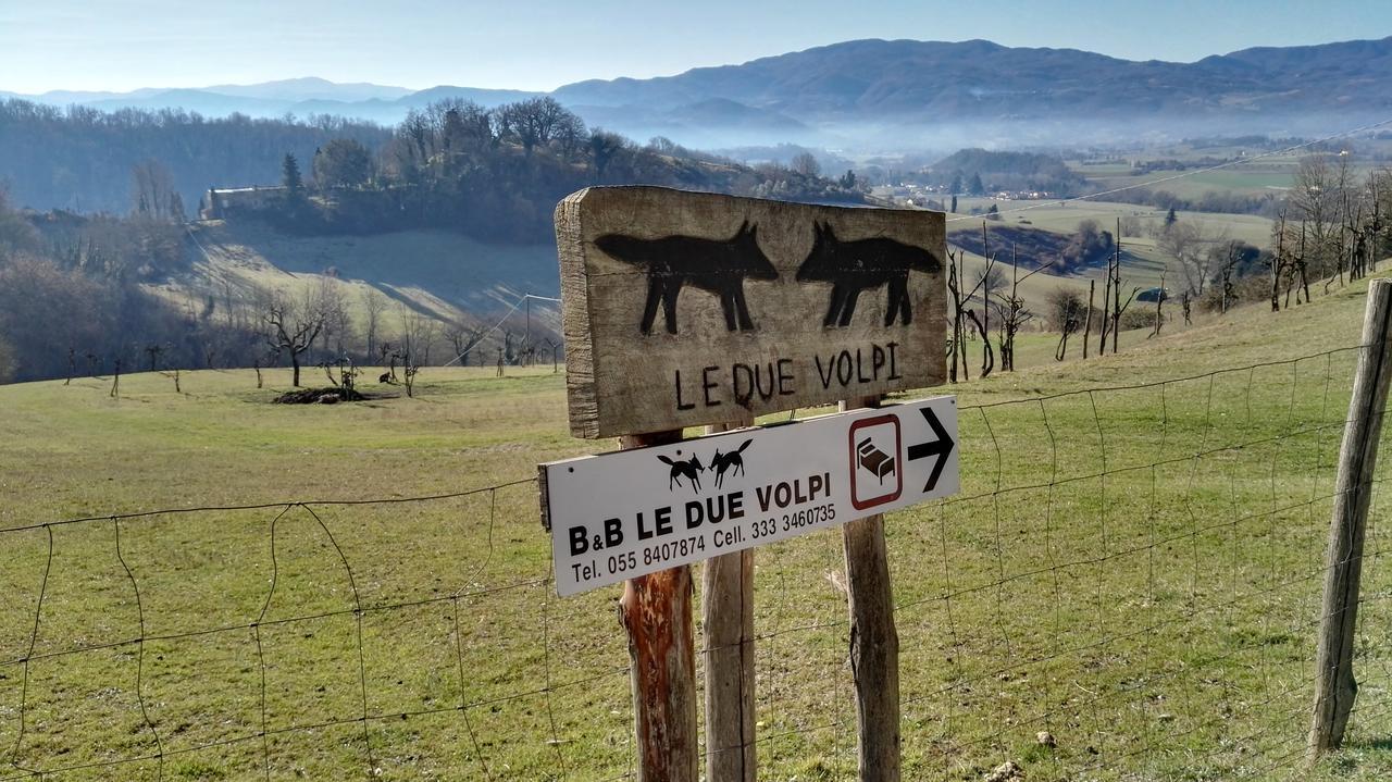 B&B Le Due Volpi Vicchio Εξωτερικό φωτογραφία